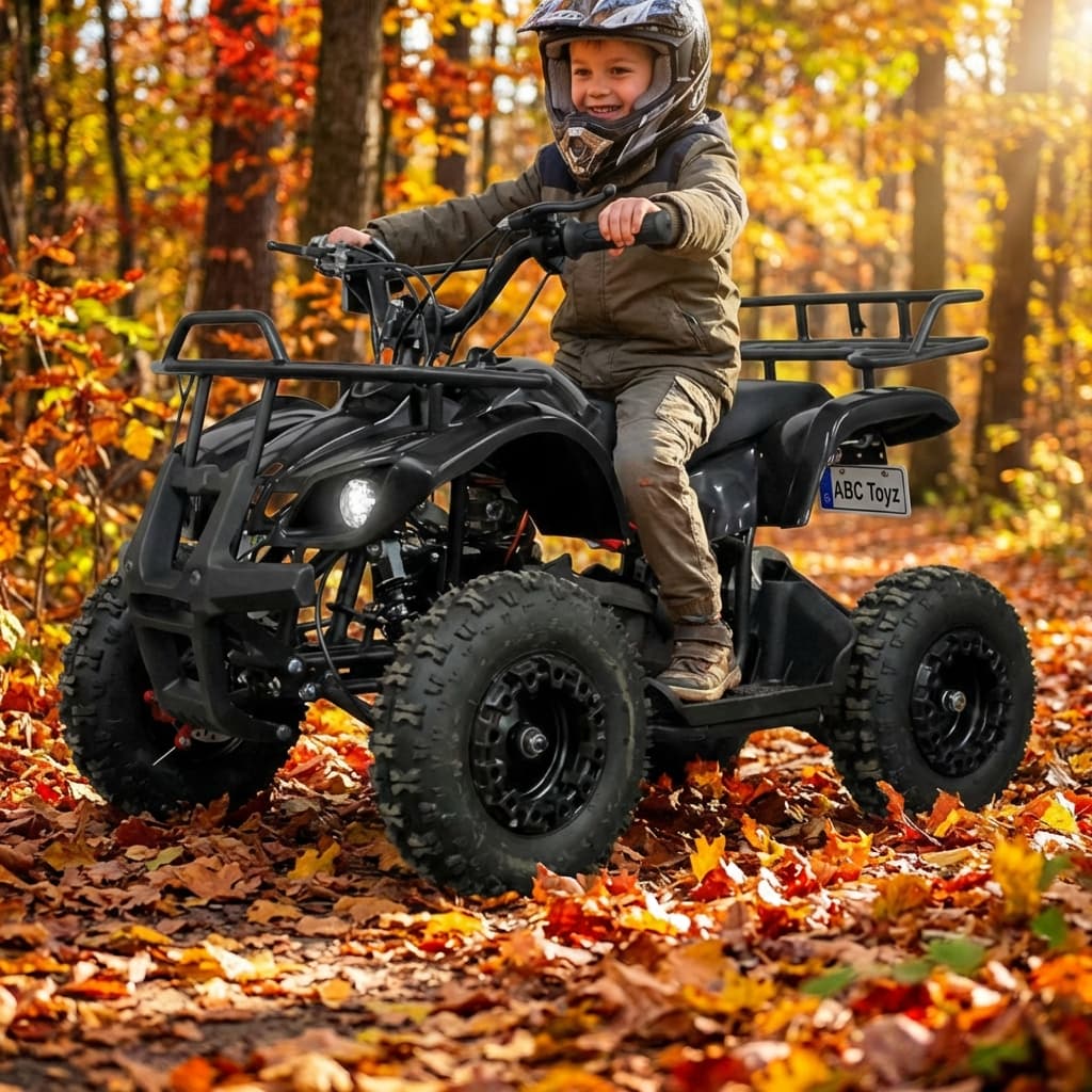 ABC Toyz Mini NEO 36V 500W Brush Motor ATV - View 11